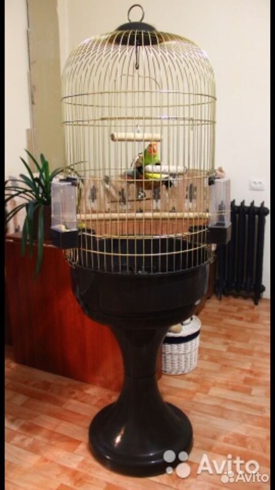 Большая клетка для попугая Ялта, Крым купить на Зозу.ру - фотография № 1