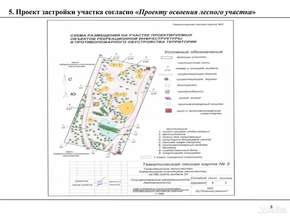 Сколько действует проект освоения лесов