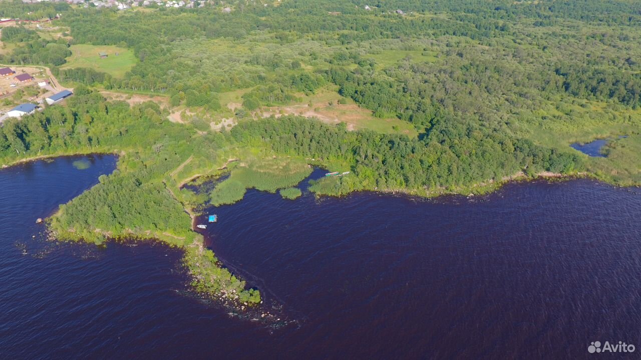 Деревня кириково ладожское озеро. Кириково ладожское озеро. Вопрошание кириково. Кириково ладожское озеро. Деревня кириково.