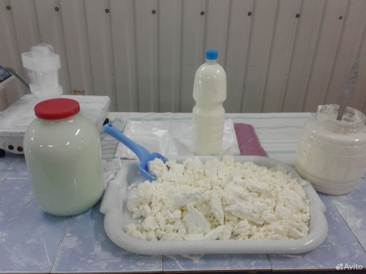 Молочные продукты купить на Зозу.ру - фотография № 1