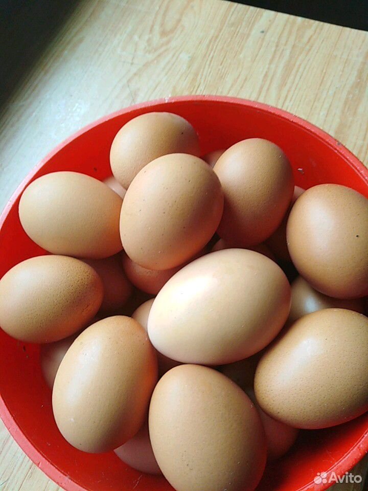 Продам яйца куриные свежие от домашних курей несуш купить на Зозу.ру - фотография № 2