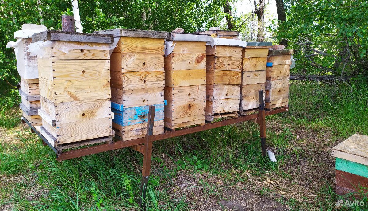 Продукты пчеловодства купить на Зозу.ру - фотография № 8