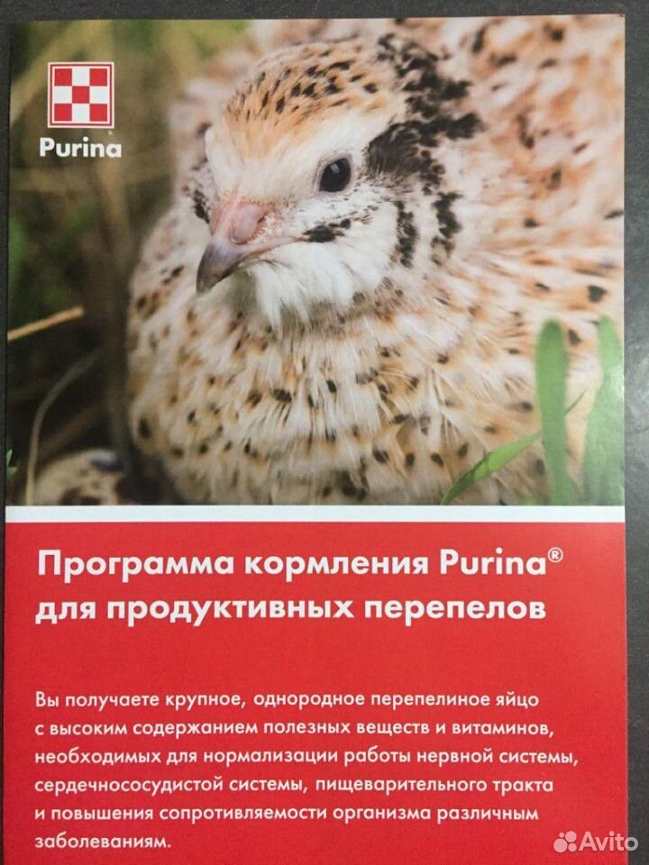 Корм Пурина для с/х животных и птиц купить на Зозу.ру - фотография № 6