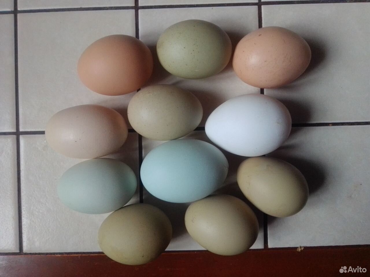 Яйца куриные домашние купить на Зозу.ру - фотография № 3