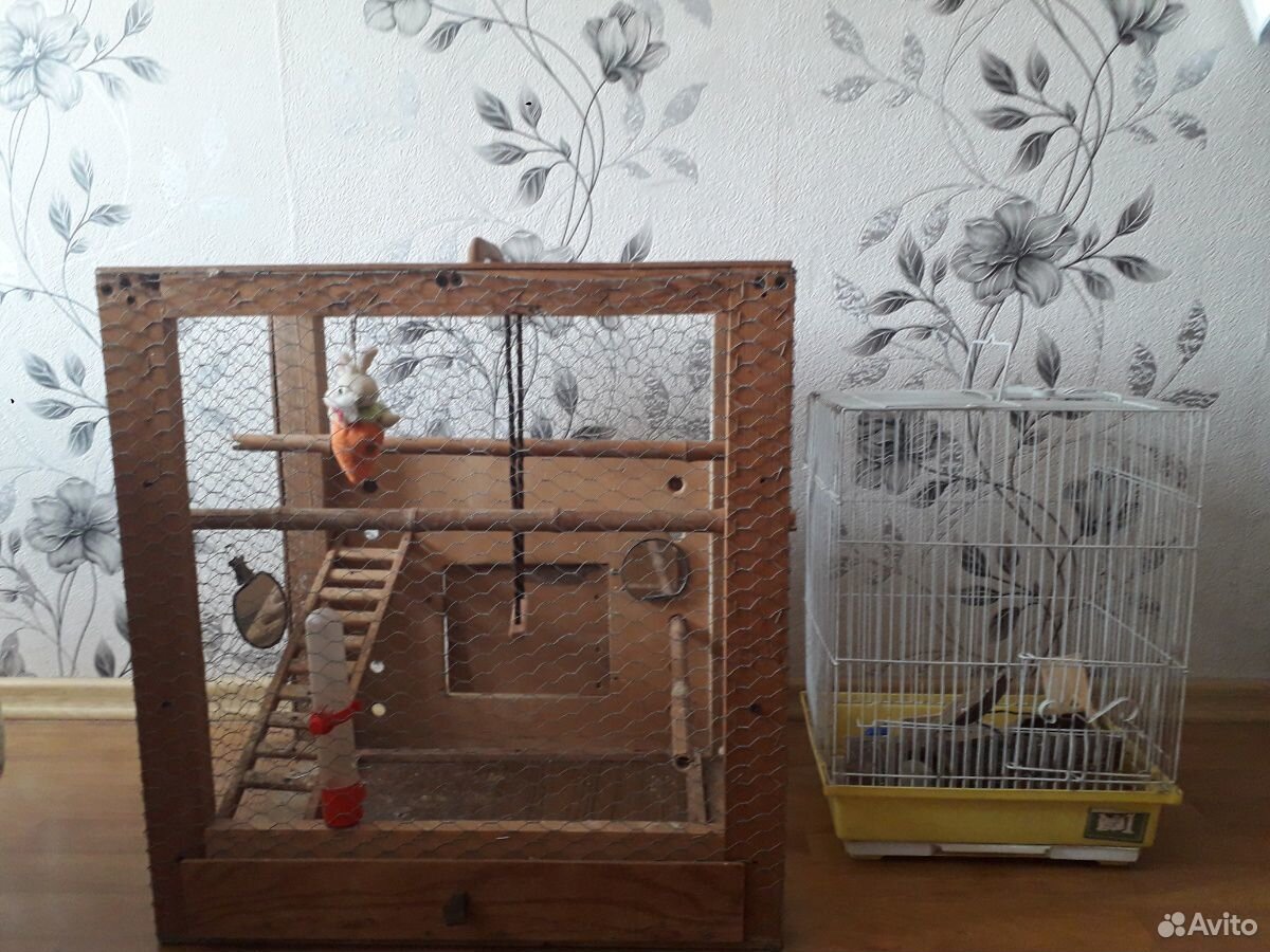 Клетки для птиц купить на Зозу.ру - фотография № 1
