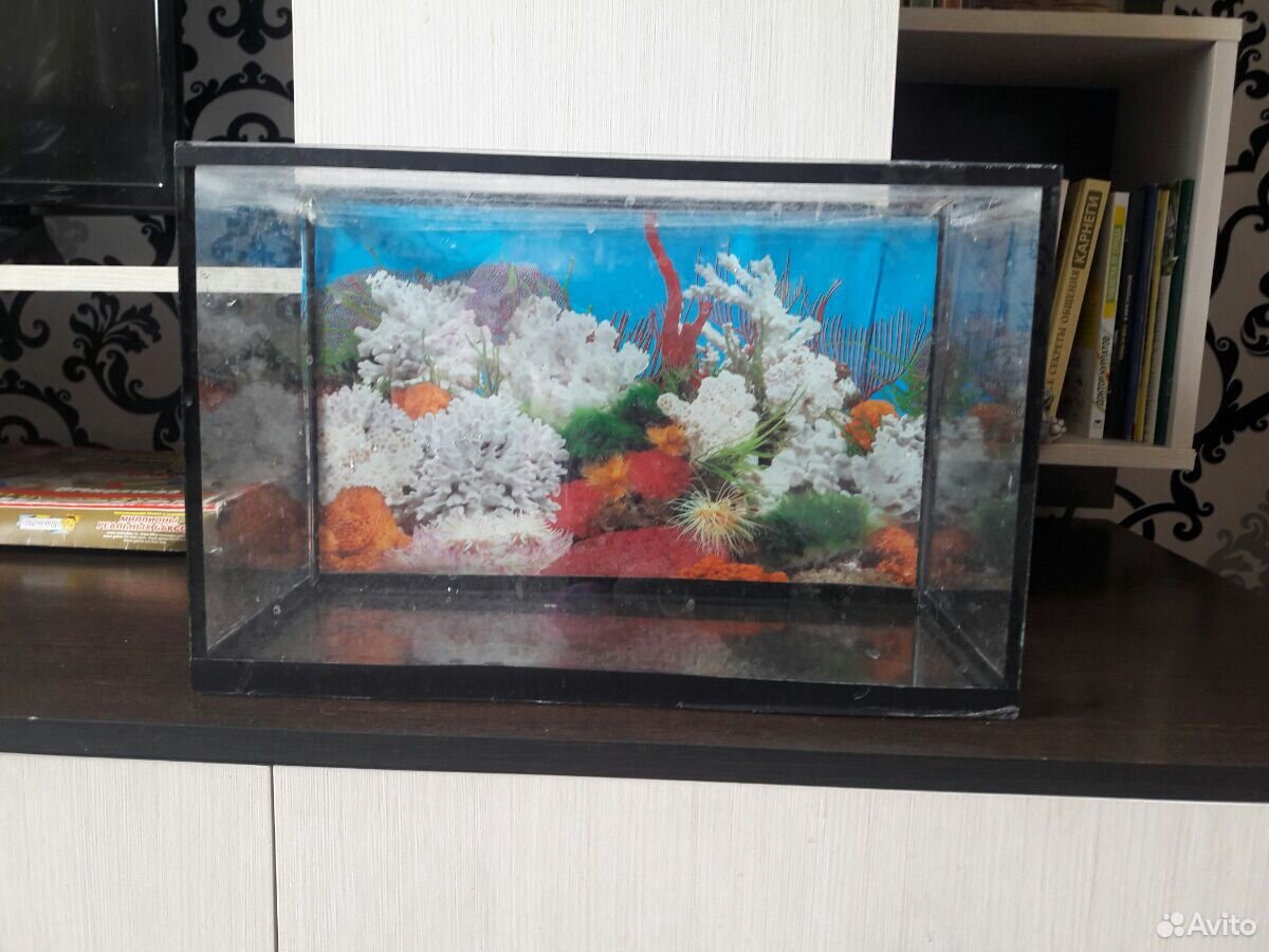 Продам аквариум 15 литров купить на Зозу.ру - фотография № 2