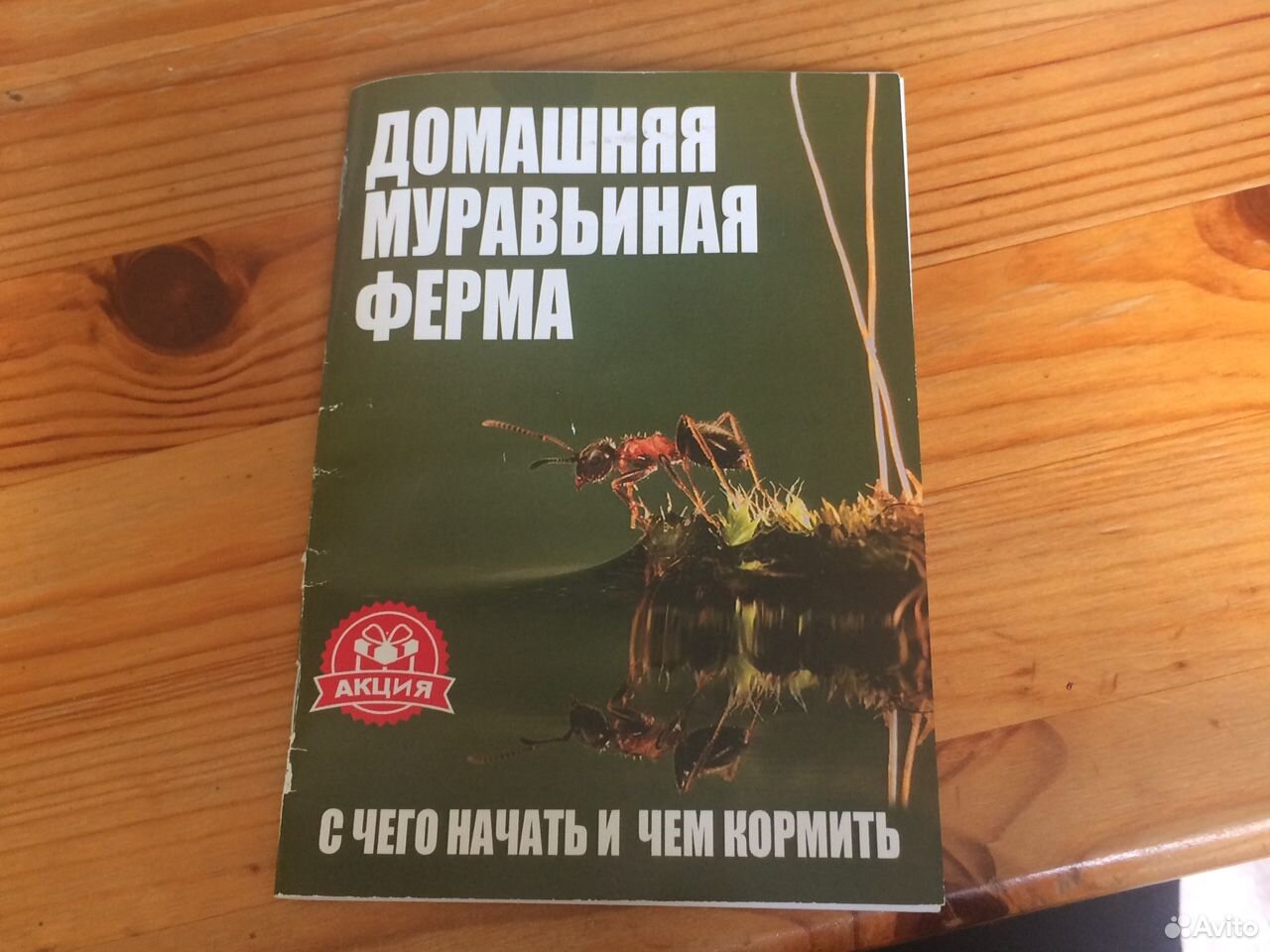 Готовый комплект муравьиной фермы «Усадьба» купить на Зозу.ру - фотография № 7