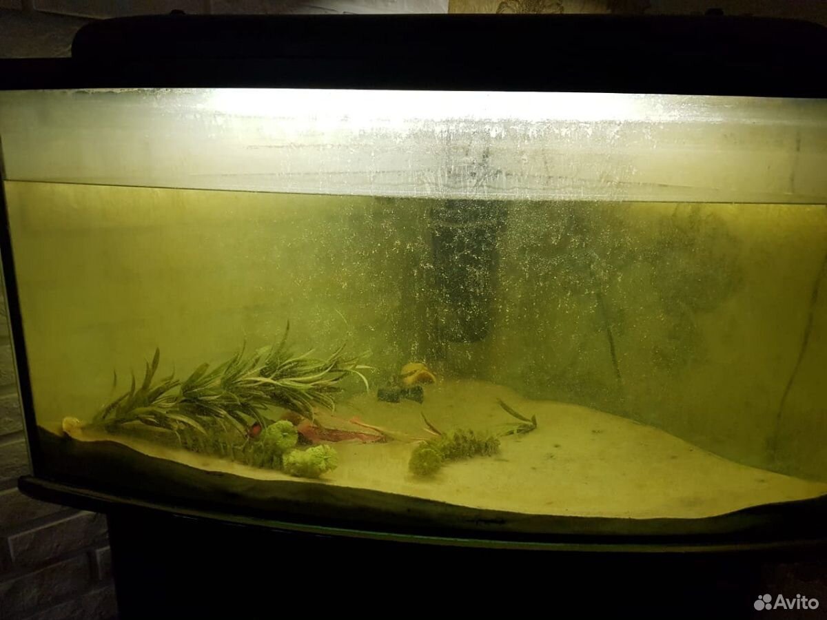 Угловой аквариум Jebo с тумбой купить на Зозу.ру - фотография № 1
