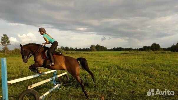 Красивый добрый конь купить на Зозу.ру - фотография № 5