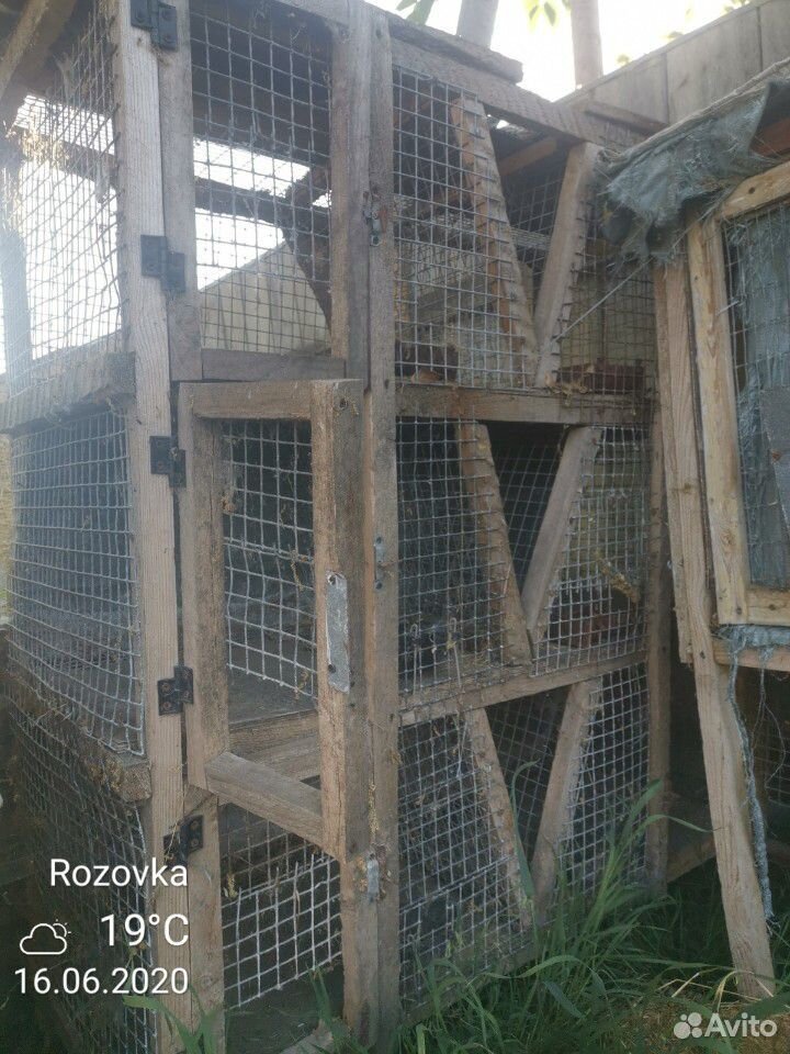 Клетки для кроликов купить на Зозу.ру - фотография № 6