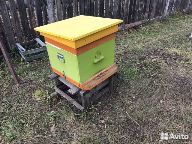 Пчелы,улья,пчеловодный инвентарь,прицеп пчеловода купить на Зозу.ру - фотография № 2