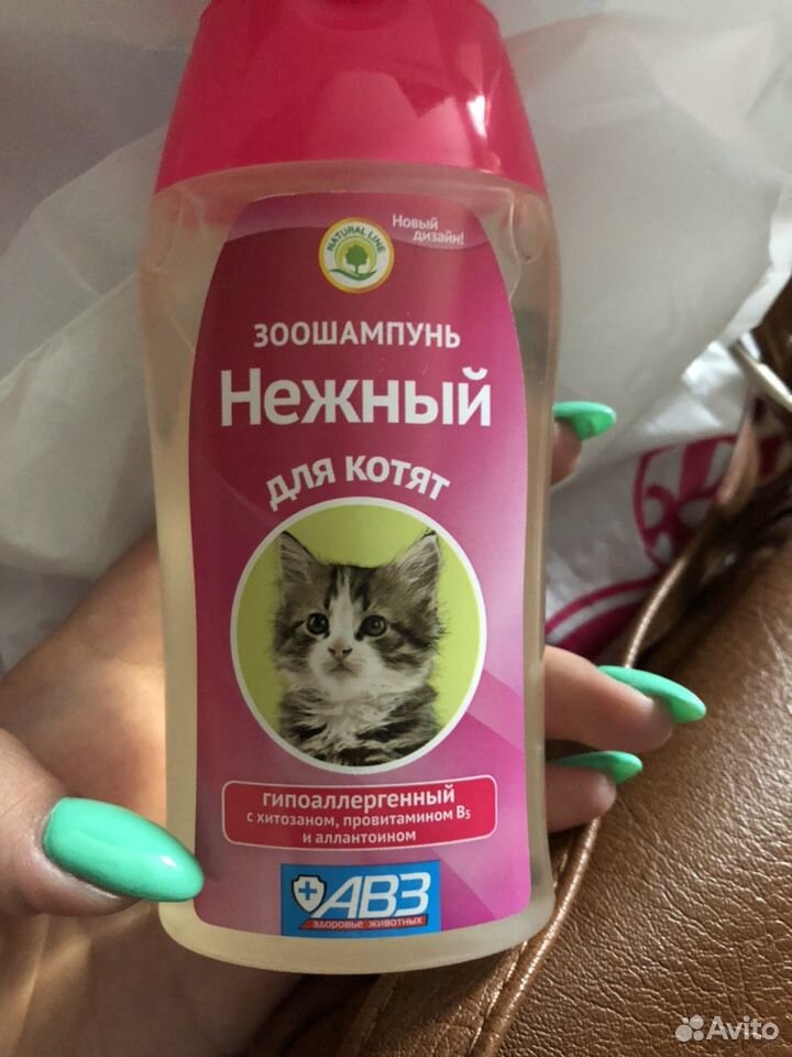 Шампунь для котят купить на Зозу.ру - фотография № 1