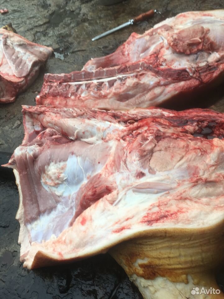 Домашнее мясо свинины купить на Зозу.ру - фотография № 2