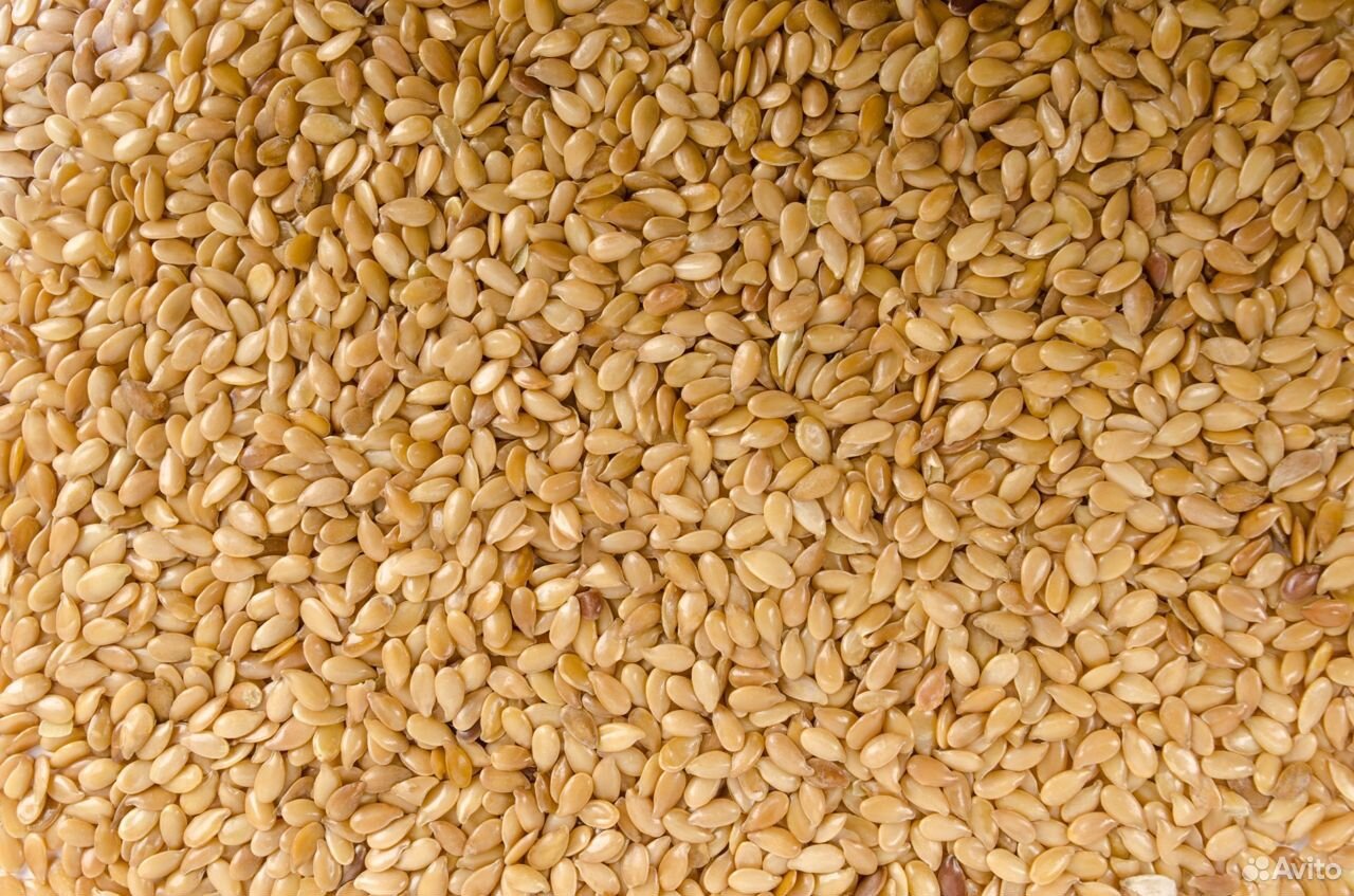 Продам зерно пшеницы купить на Зозу.ру - фотография № 1