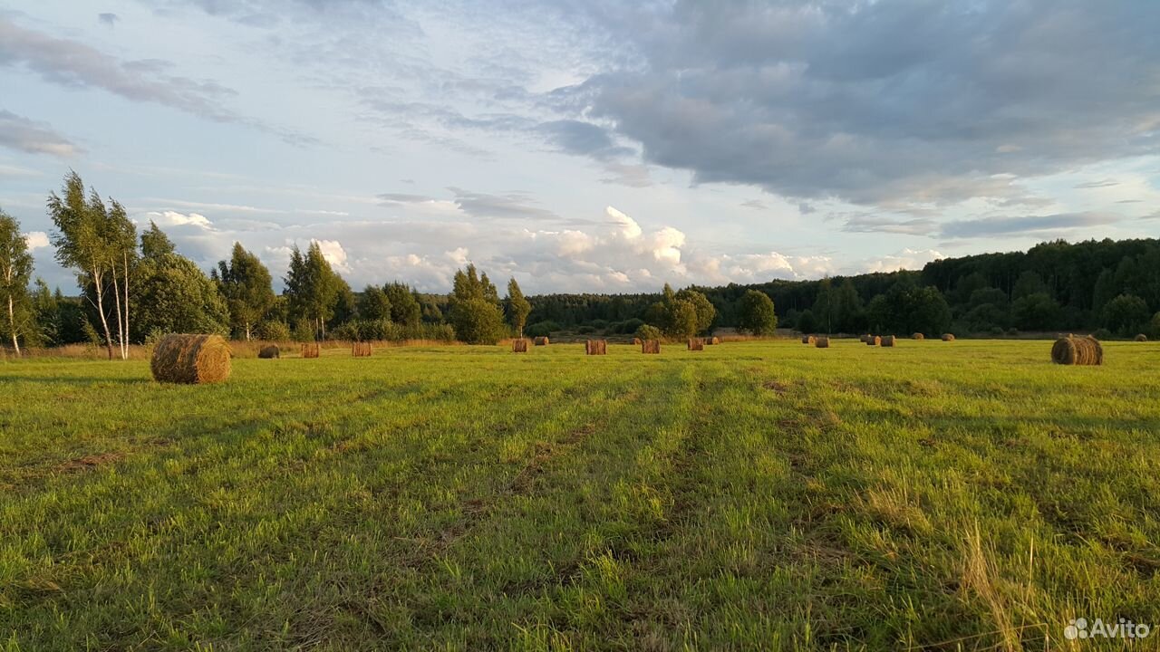 Купить Землю В Косулино Свердловской Области