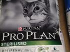 Корм для кошек Про План(ProPlan) объявление продам