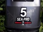 Мотор Sea Pro 5 объявление продам