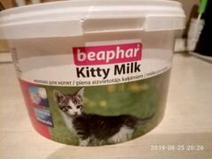 Молоко для котят, заменитель кошачьего для котят с