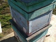 Ящики для пчеловодства,состояние среднее кол 3 шту