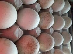 Инкубационное яйцо индюков
