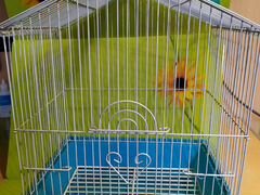 Клетка для попугаев или маленьких птичек
