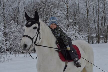 Катание и обучение верховой езде на лошадях