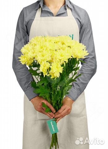 Букет Хризантем Baltic Yellow 7 шт