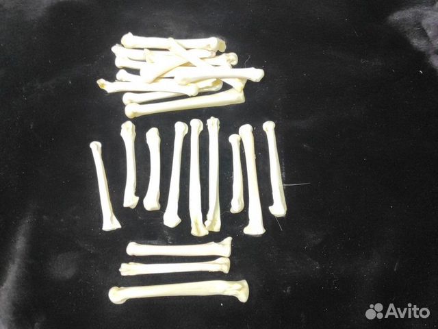 Кости волка