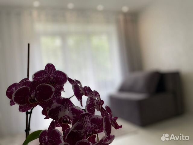 

1-к. квартира, 33 м², 3 кровати