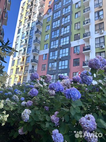 

Квартира-студия, 30 м², 2 кровати