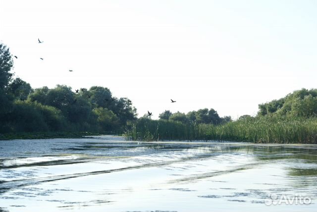 Рыбалка в поселке городского типа кировский астраханской области. 128 га. Биосферный заповедник астрахань. 60 гектар на карте. Бородино озеро боградский район фото.