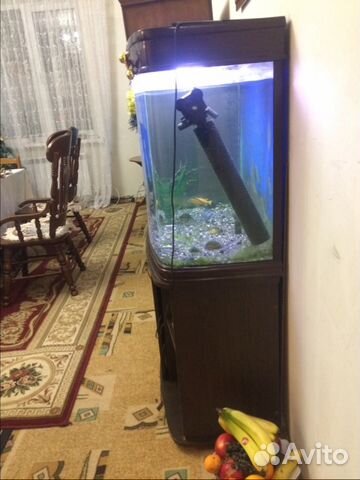 Продаётся аквариум купить на Зозу.ру - фотография № 3