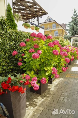 

1-к. квартира в апарт-отеле, 20 м², 2 кровати