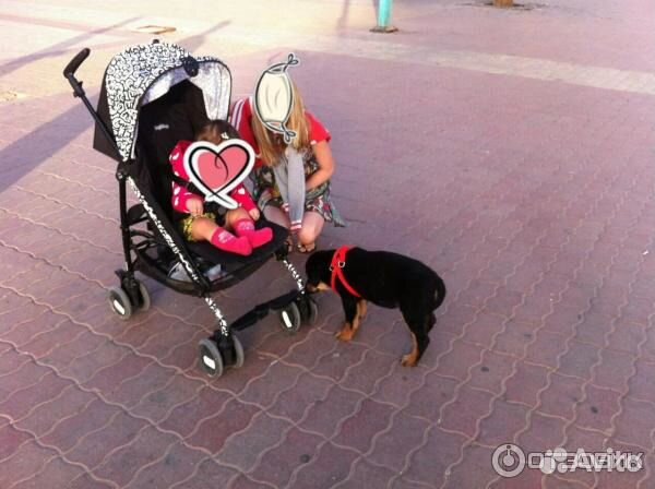 Коляска трость peg perego pilko стильная расцветка