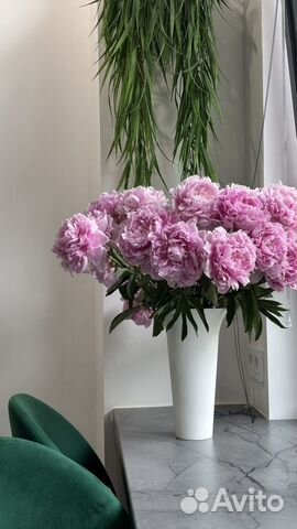 

Квартира-студия, 40 м², 2 кровати