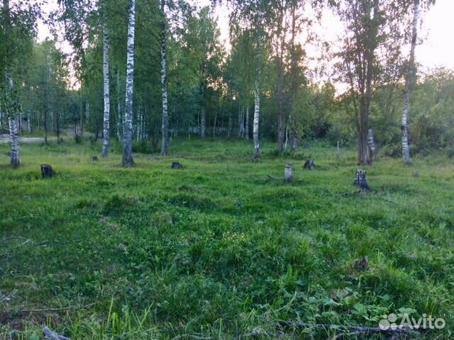 Купить Участок Земли В Петрозаводске