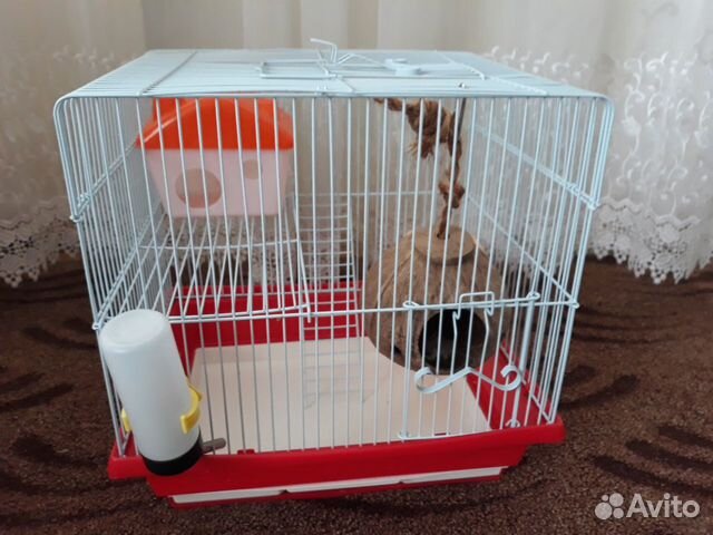 Клетка для грызунов