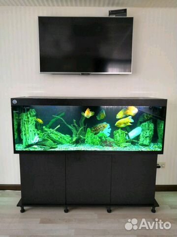 Новый аквариум 170см длиной комплект купить на Зозу.ру - фотография № 2