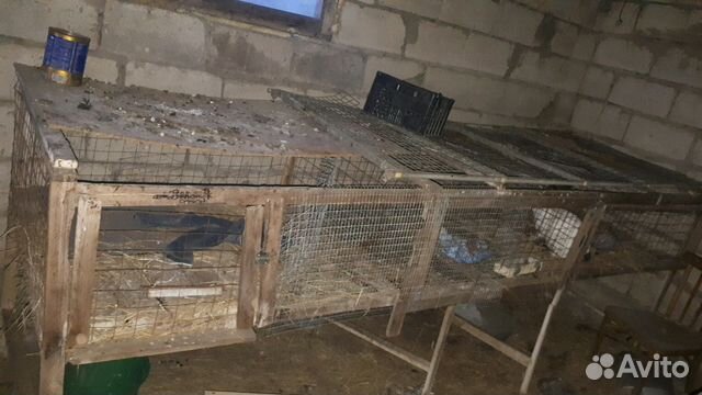 Клетки для кроликов. Можно содержать курей купить на Зозу.ру - фотография № 2
