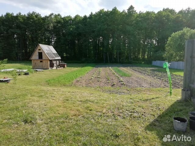 Гришина Слобода Жуковский район. Гришина Слобода Жуковский район Брянская область. Гришина Слобода Жуковский район Брянская область озеро. Гришина Слобода Жуковский район ул. Советская.