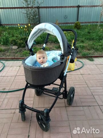Коляска baby design husky lupo (зима) с аксессуара Коляска baby design husky lupo (зима) с аксессуара