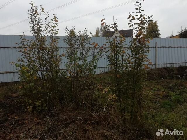 Участок 8 сот. (ИЖС) Участок 8 сот. (ИЖС)