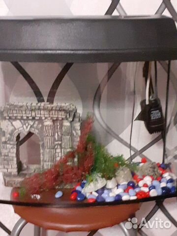 Аквариум для рыб