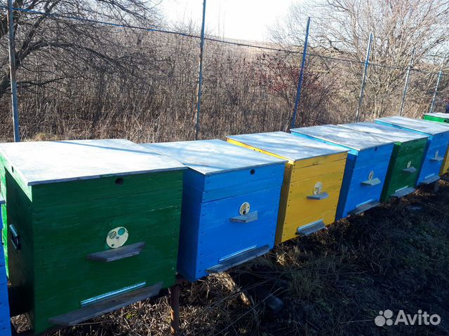 Ульи для пчел дадан купить на Зозу.ру - фотография № 2
