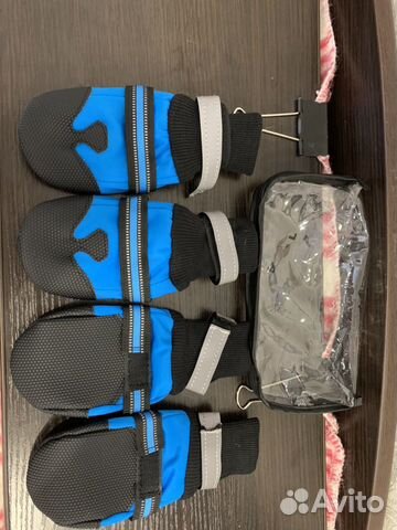 Обувь для собак