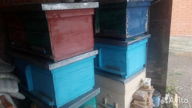 Ульи для пчёл купить на Зозу.ру - фотография № 1