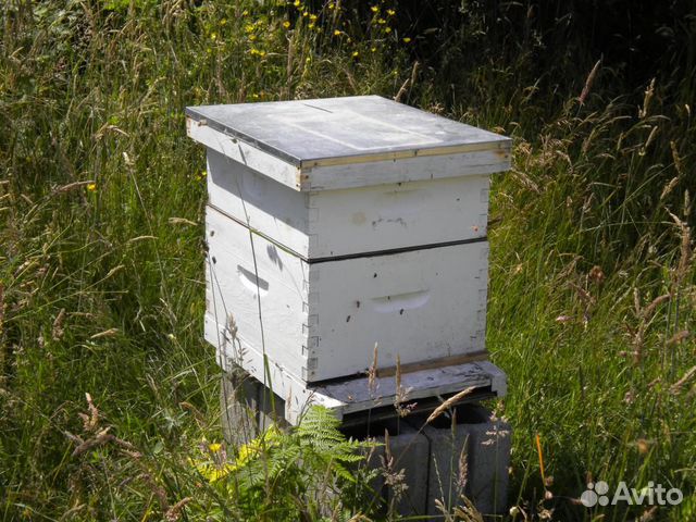 Ульи пчёлы медогонка купить на Зозу.ру - фотография № 1