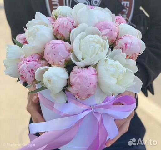 Пионы 11 15 19 25 51 Букеты Цветы Доставка Пионы 11 15 19 25 51 Букеты Цветы Доставка