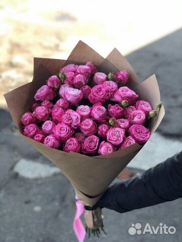 51 роза 101 31 51 роза 101 31