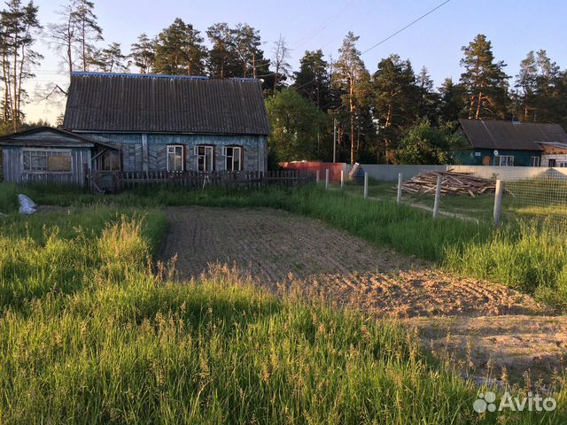 Ржаница брянская область фото